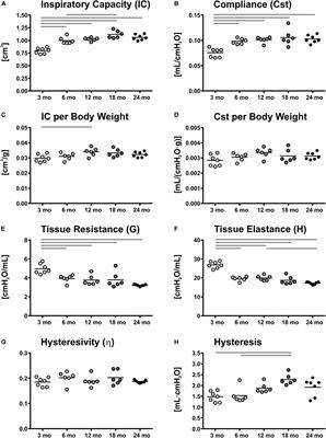 Age-Related Structural and Functional Changes in the Mouse Lung